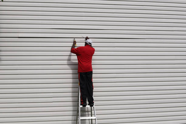 Best Stone Veneer Siding  in Keego Harbor, MI